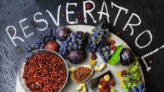 RESVERATROL